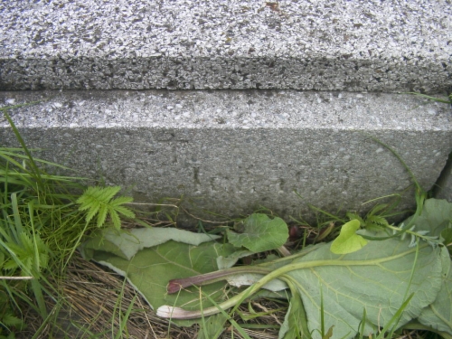 RIMG0207