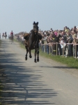 Osterreiten 2009