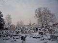 Winter 01.02.2009